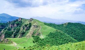 黄草梁徒步  每周一山  周末户外徒步 摘野韭菜季-十里坪里登山