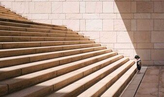 【英语活动】隐藏的社交等级：谁在带头，谁在跟随