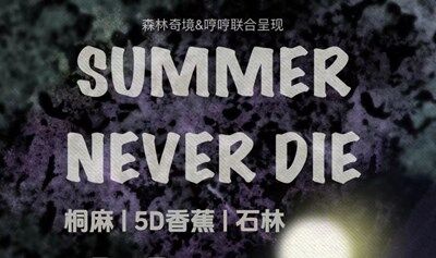 SUMMER NEVER DIE 桐麻乐队/5D香蕉乐队/石林乐队  