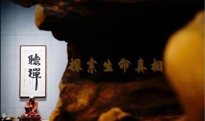 沐心禅苑（第八期）禅修公益课