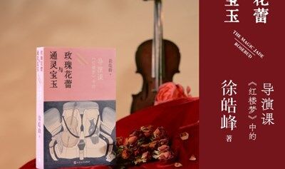徐皓峰×窦文涛：电影思维看“红楼”