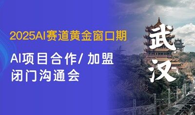 AI賽道入局合作溝通會，可落地/國家備案/上市公司合作，AI創(chuàng)業(yè)/投資/找項目【武漢】