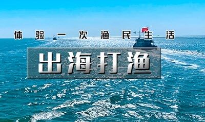 周末國慶1日【出海打漁】渤海灣包船出海の體驗一次漁民生活-現(xiàn)場加工品新鮮海鮮