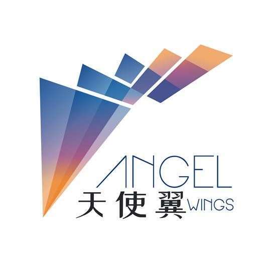 天使翼（武汉）科技创业发展有限公司