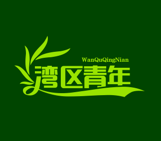 湾区青年搞钱联盟