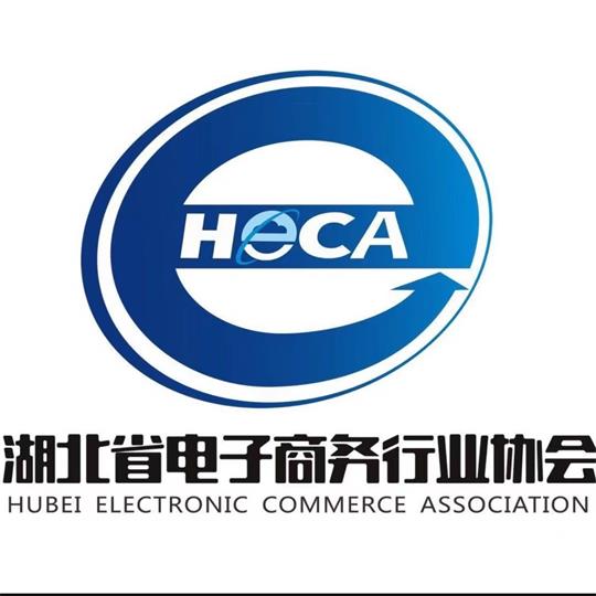 湖北省电子商务行业协会