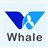 白鲸开源科技