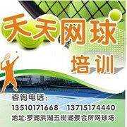 深圳网球培训天天网球培训中心