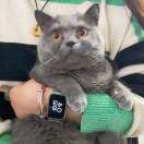 微信用户