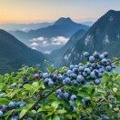 微信用户