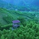 陈建丰