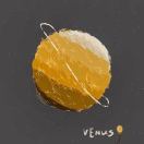 Venus 鲸👀