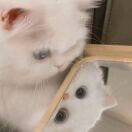 微信用户