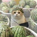 微信用户