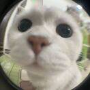 微信用户