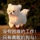 微信用户